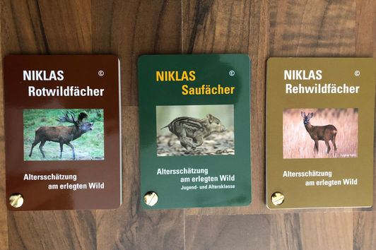 Niklas Sau-, Reh- und Rotwildfächer