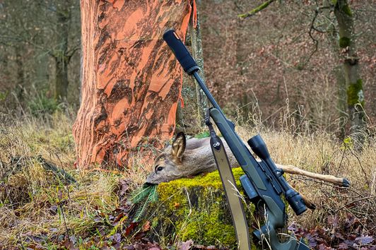 Drückjagdtarnnetz - Mehr Jagderfolg durch Tarnung