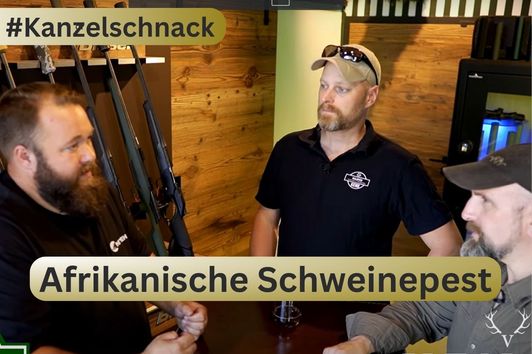 AFRIKANISCHE SCHWEINEPEST im Revier, ein Jäger packt aus! #Kanzelschnack