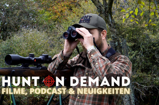 Filme, Podcast & Neuigkeiten auf HOD!