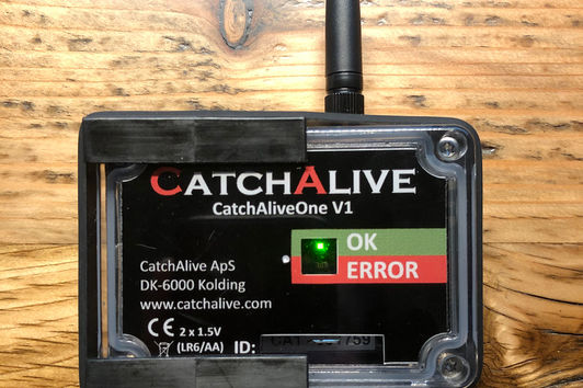 CatchAlive ONE - der neue Stern am Fallenmelder Himmel?