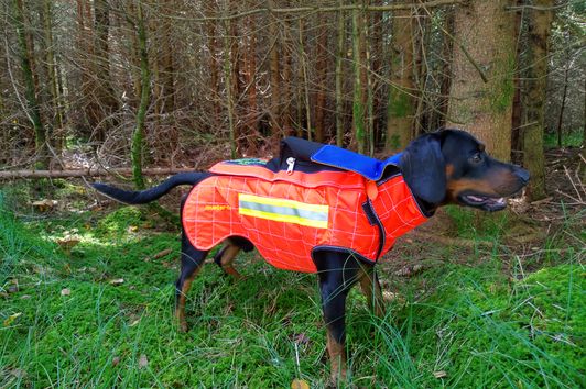 Müller-Fox Schutzweste für Hunde