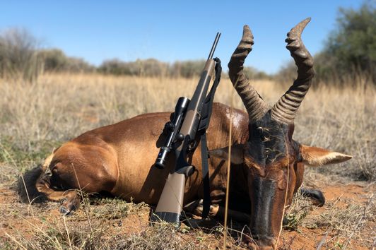 Otjere Wildlife: Auslandsjagd in Namibia