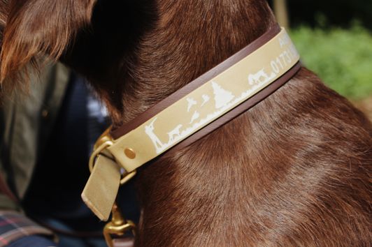 Halsband und Leine vom Jagdnasen-Shop