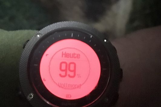 Jagduhr SUUNTO Traverse Alpha