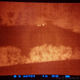 Wärmebildkamera Pulsar XQ50 aus Sicht eines Fotografen