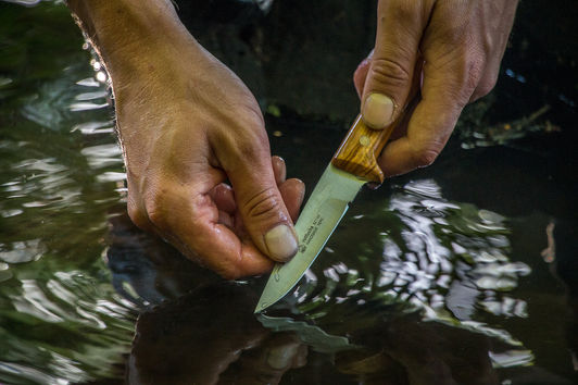 Reinigung und Pflege von Jagdmessern