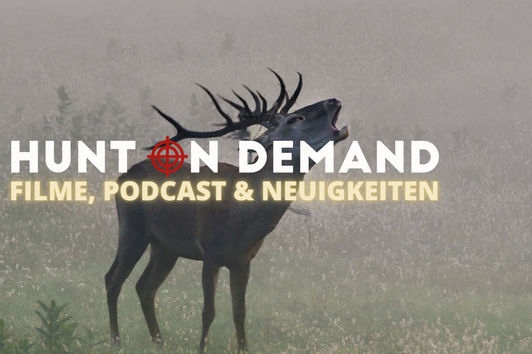 Filme, Podcast & Neuigkeiten!