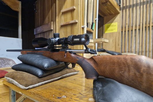 Bergara B14 Timber Linkssystem