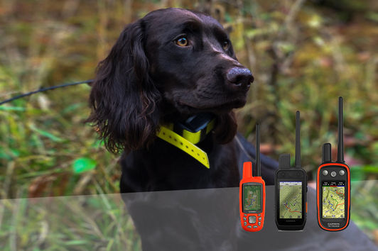 Hundeortung: Garmin vs. Tractive = Teuer & gut vs. günstig & fehlerhaft?