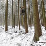 Klettersitz Lone-Wolf Tree Stand, erste Erfahrungen