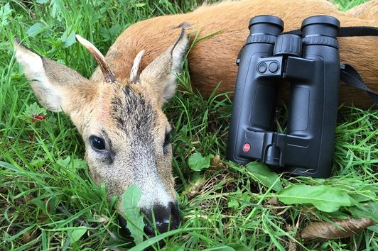 LEICA Geovid HD-B 10x42: Viel Geld für viel Leistung