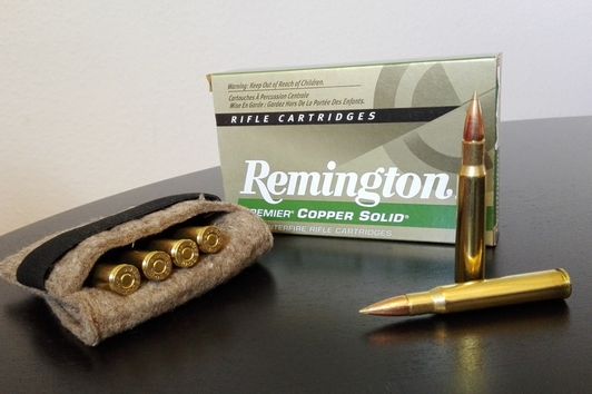 Testbericht bleifreie Munition Remington Copper solid aus der Blaser R8