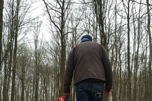 Pirschwege mit dem Laubgebläse: Schneller gehts nicht