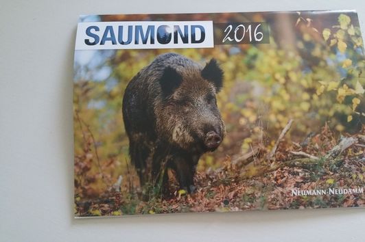 Der Saumond-Kalender 2016