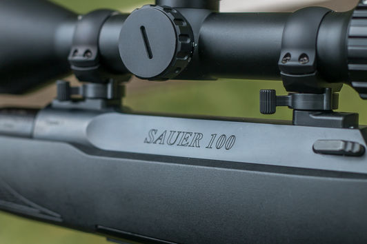 Sauer 100