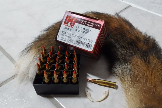 Das Kaliber .17 Hornet sowie die Hornady NTX und V-Max