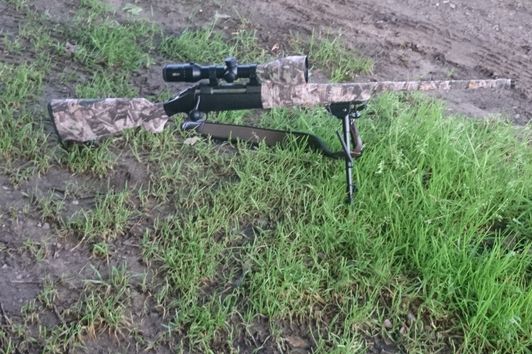 Ruger American Rifle .30-06