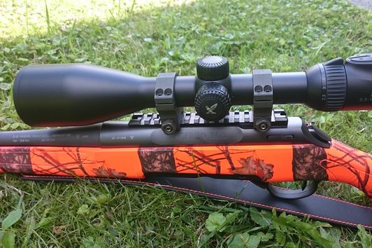 Das Swarovski Z8i 2,3-18x56 P weil es auf die Optik ankommt