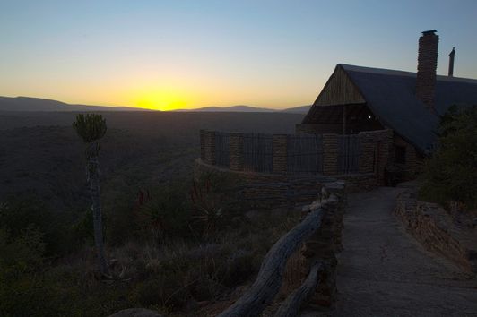 Das erste Mal nach Afrika? Fahrt zu Frontier Safaris ans Eastern Cape...