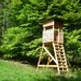 Die „Offene rustikale Waldkanzel“ von Hochsitz24