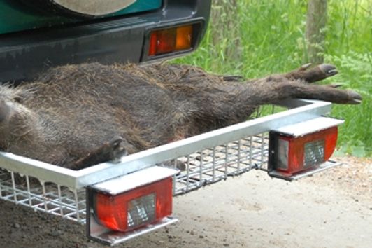 Heck Pack - Heckträger - und das Auto bleibt sauber! 