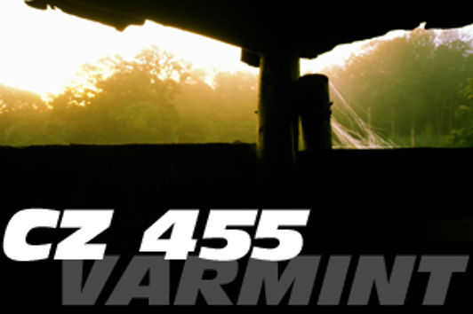 Review CZ 455 Varmint in .22 lfb