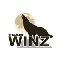 team  winz