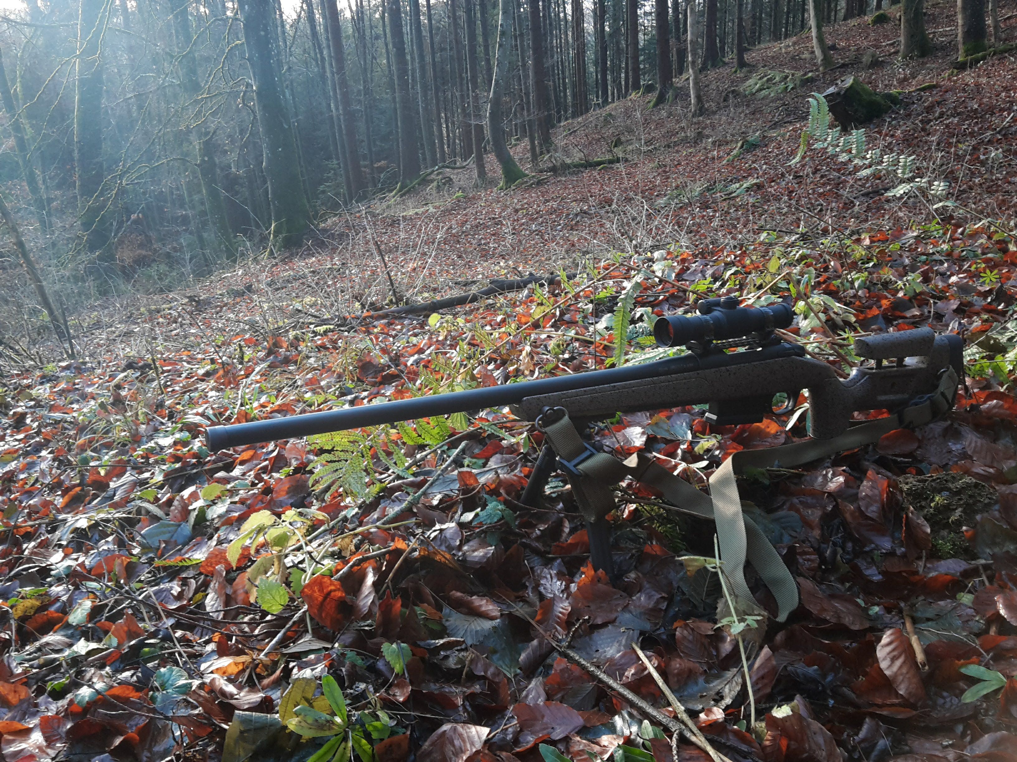 Bergara Hmr Wilderness