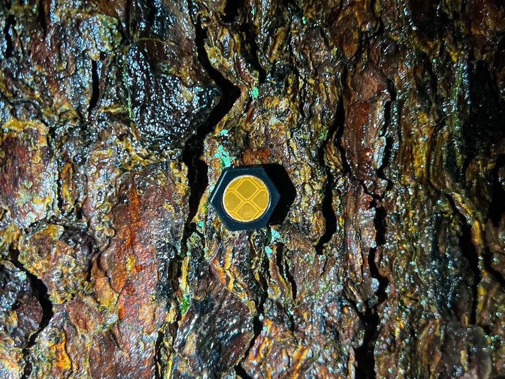 Reflektierend runde Klebepunkte zum Kennzeichnen von Gefahre