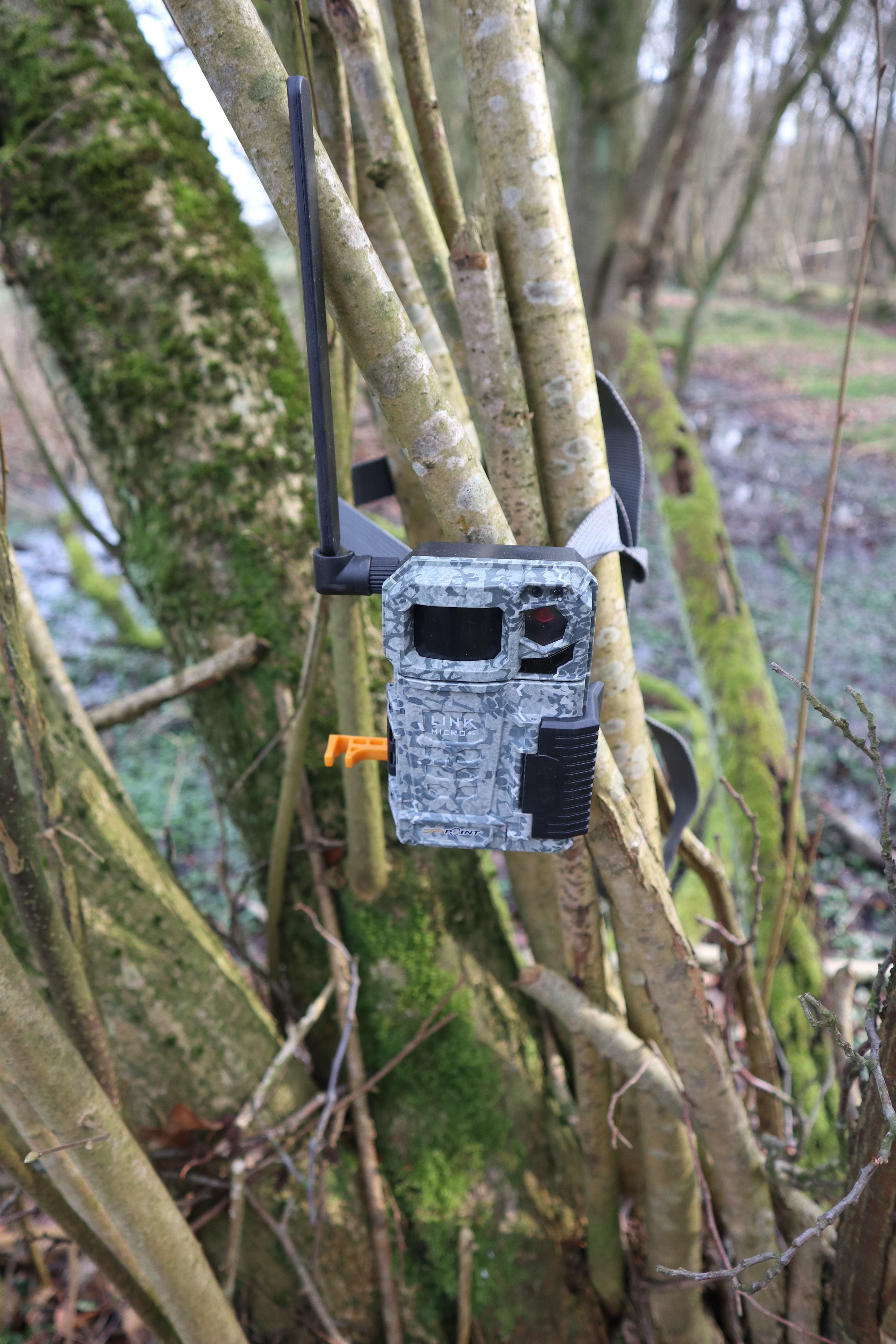 SpyPoint 4G Wildkamera Link-Micro mit Bildübertragung und APP-Steuerung 