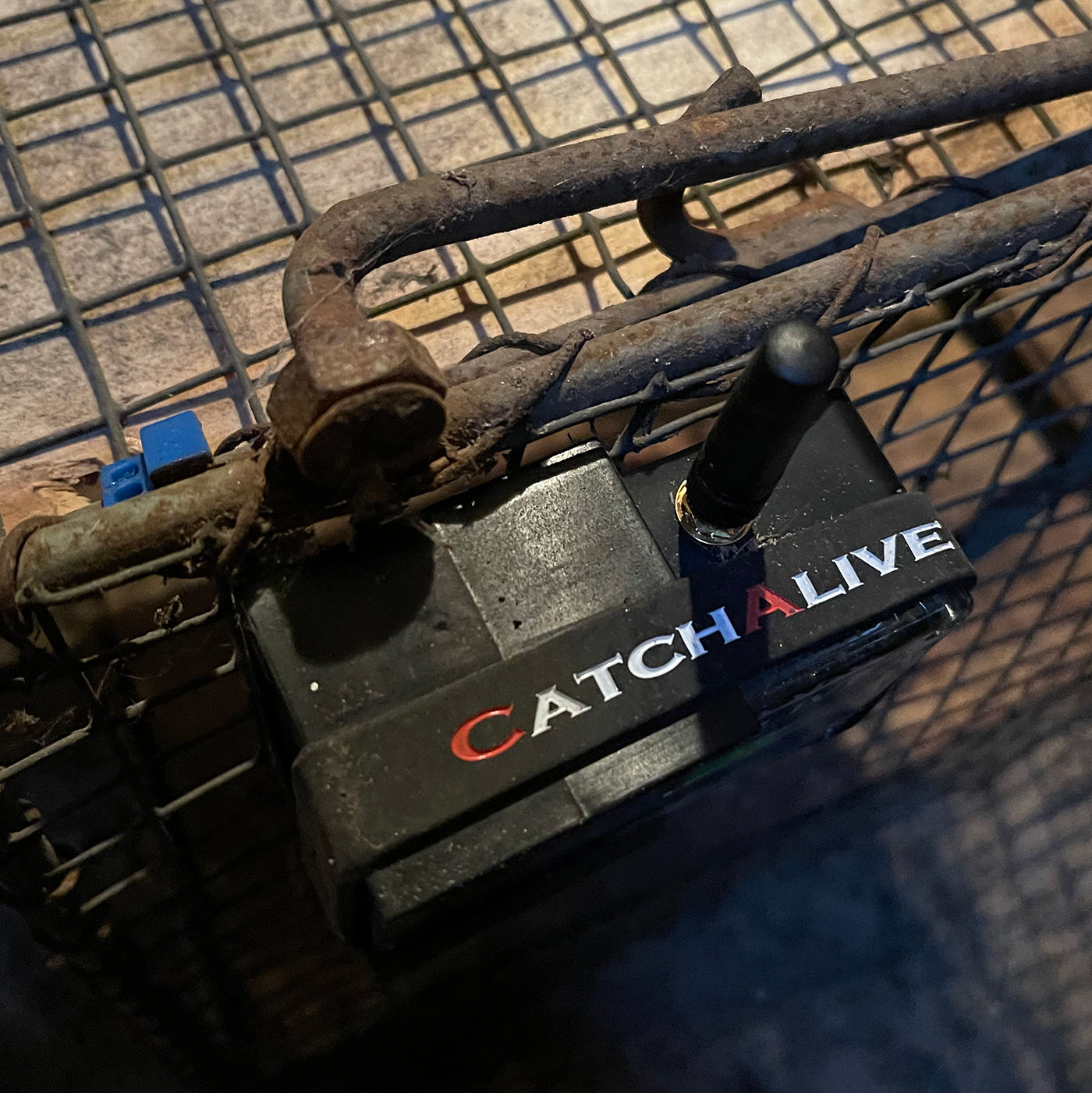 CatchAlive ONE - der neue Stern am Fallenmelder Himmel? - Geartester