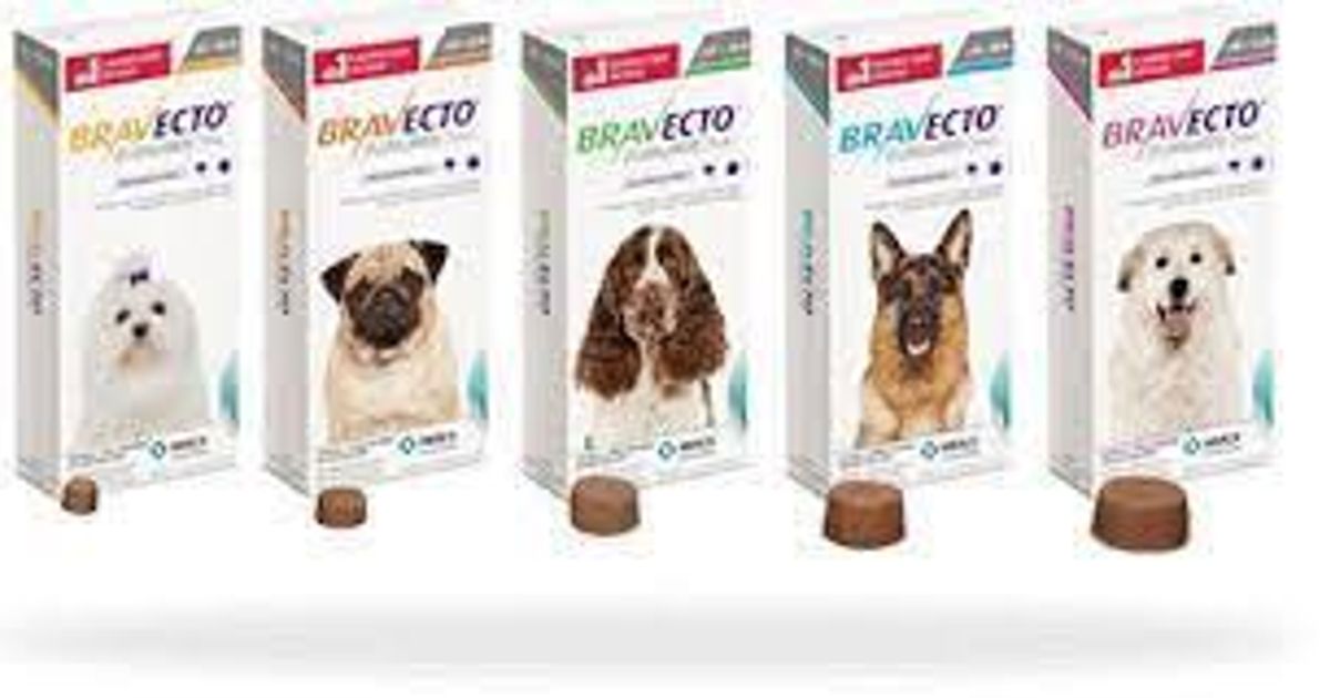 Bravecto für einen Zeckenfreien Hund