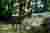 road-trip charente-limousine