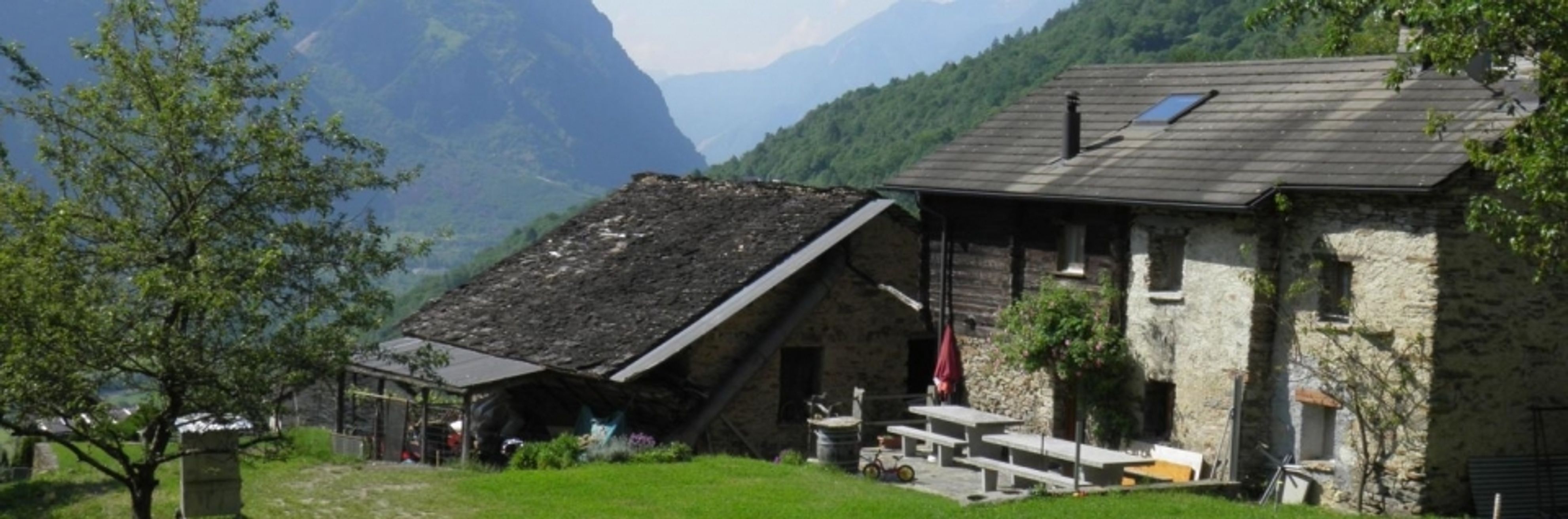 Azienda Agricola Biologica