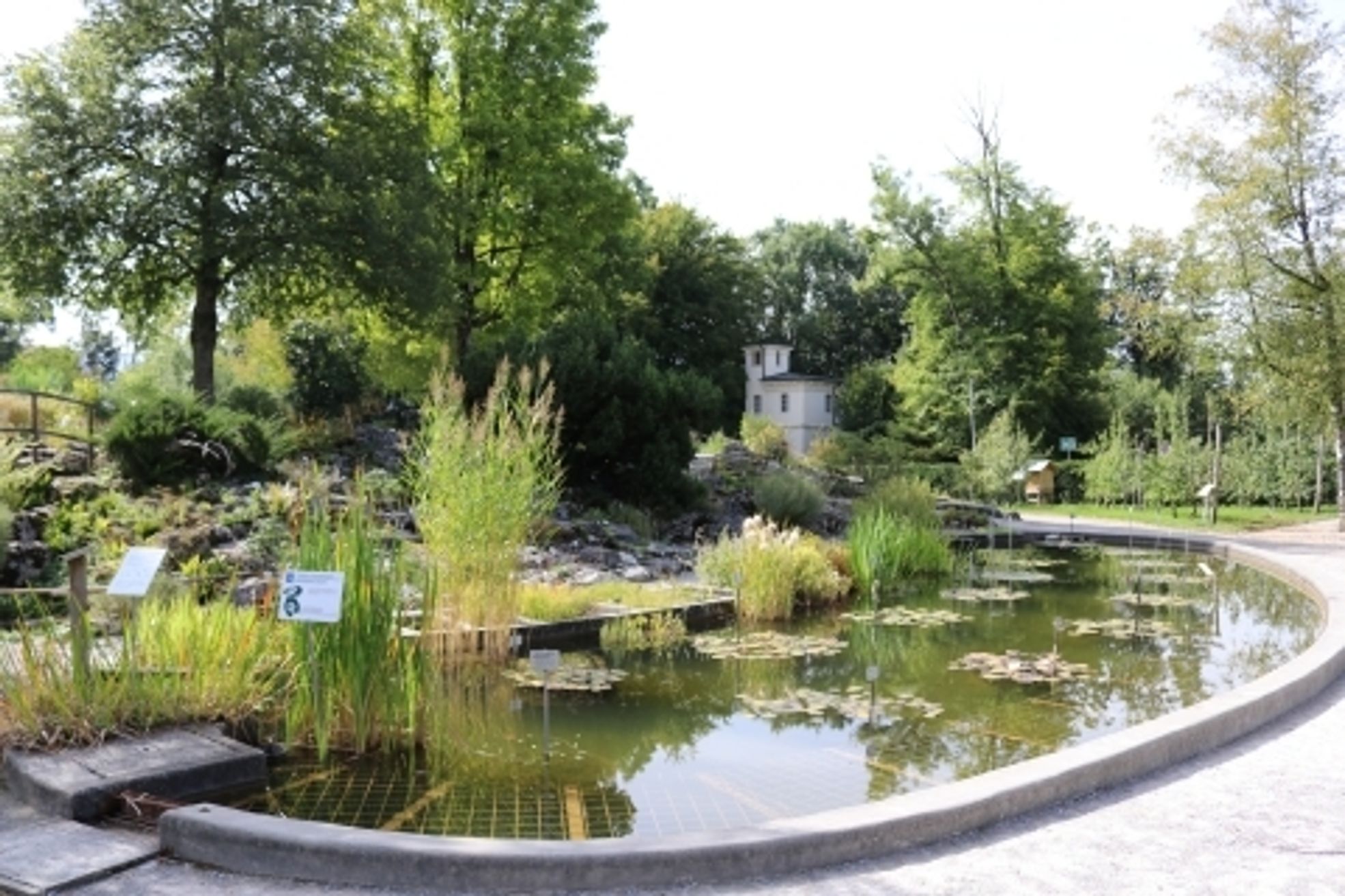 Jardin aquatique - botanic®