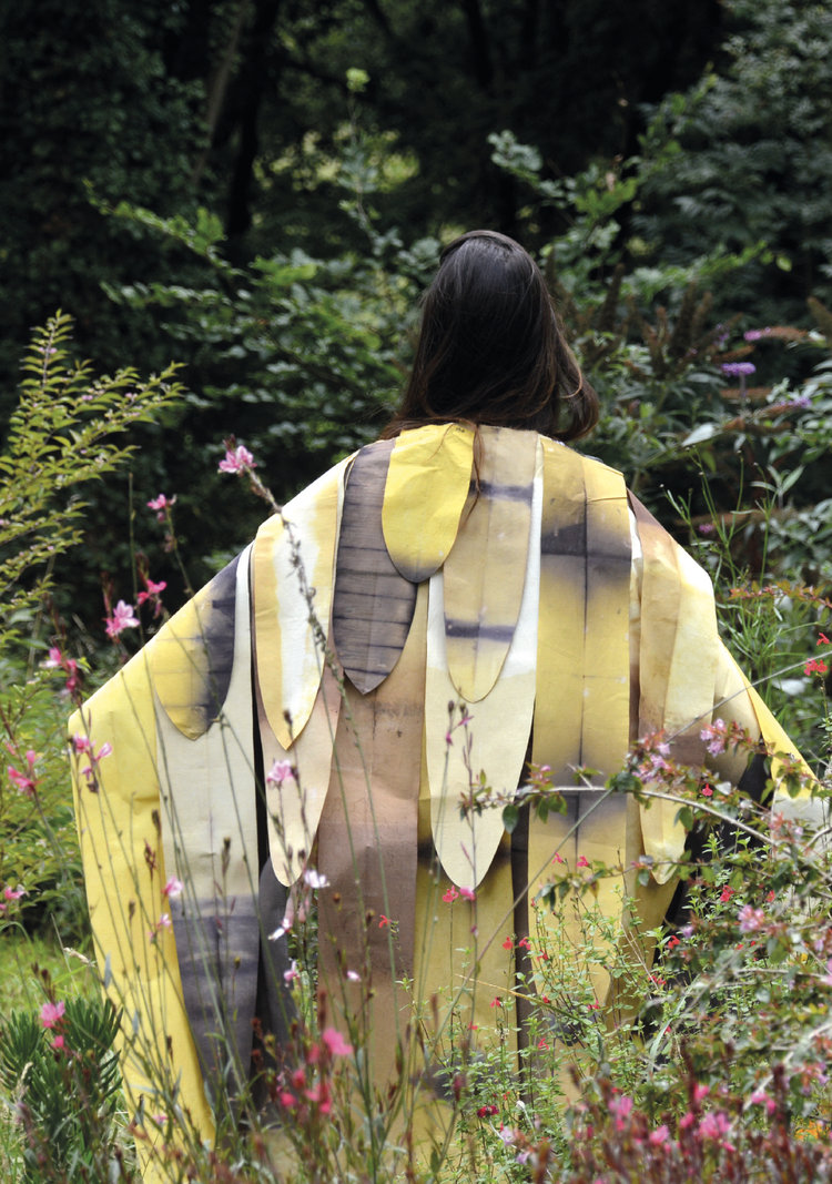 Whispers from Tides and Forests