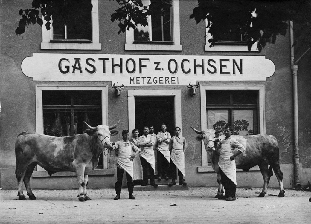 Butcher & Wine mit lokalen Winzern