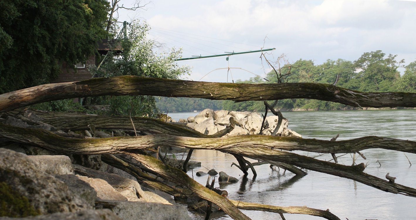 Führung: Am Rhein. Eine Spurensuche zwischen Augst und Birsfelden