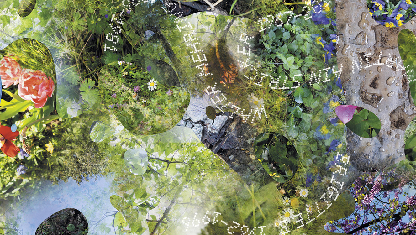 Zehn Leben – Die Geschichte einer Stadt