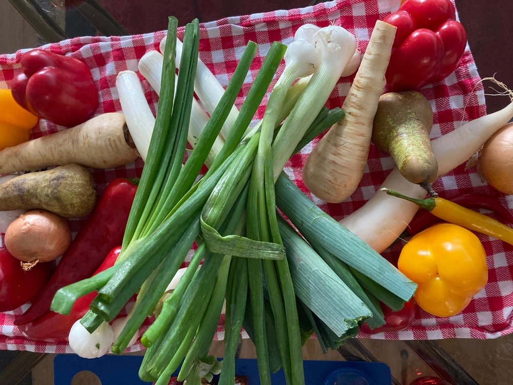 Fermentier Kurs mit Verkostung