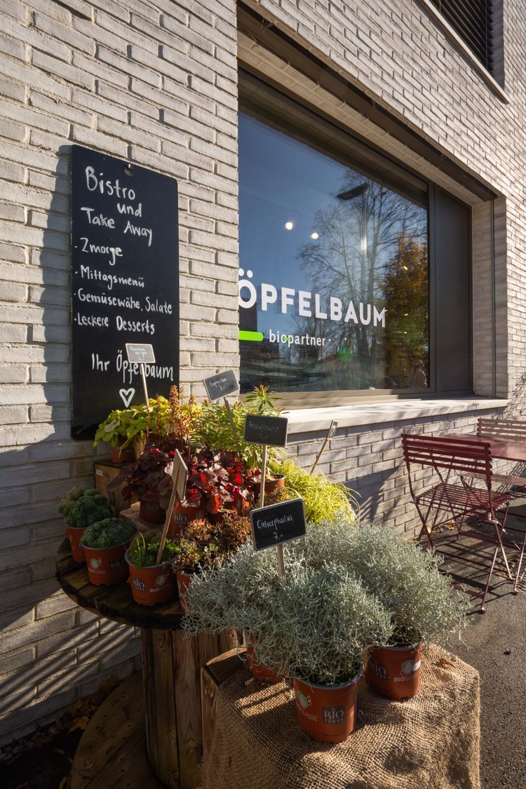 2023 11 Oepfelbaum WEB 6