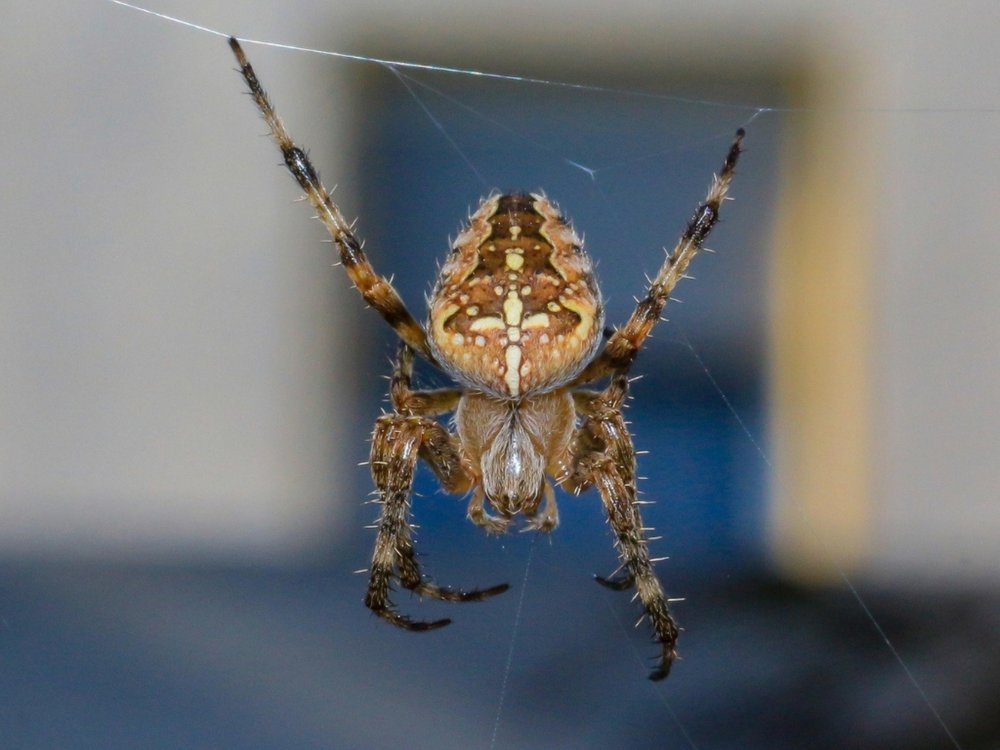 Theaterführung «Fix it!»