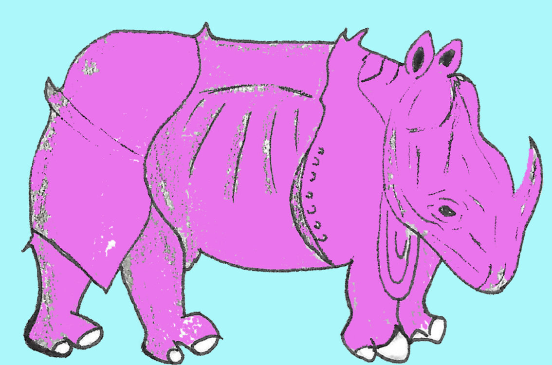 Nashorn-Schreibwettbewerb - Startschuss