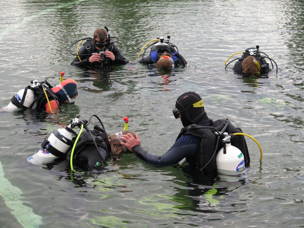 Schnuppertauchen im Naturbad – Dein erster Tauchgang mit Pressluf
