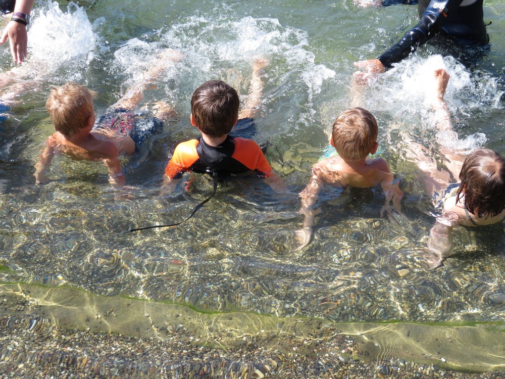 Kinderschwimmkurs Sommer 2026 – Mit Sicherheit ins Wasser!
