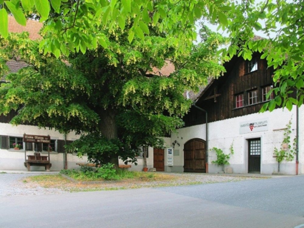 Dauerausstellung: Von der Rebe bis zum Wein