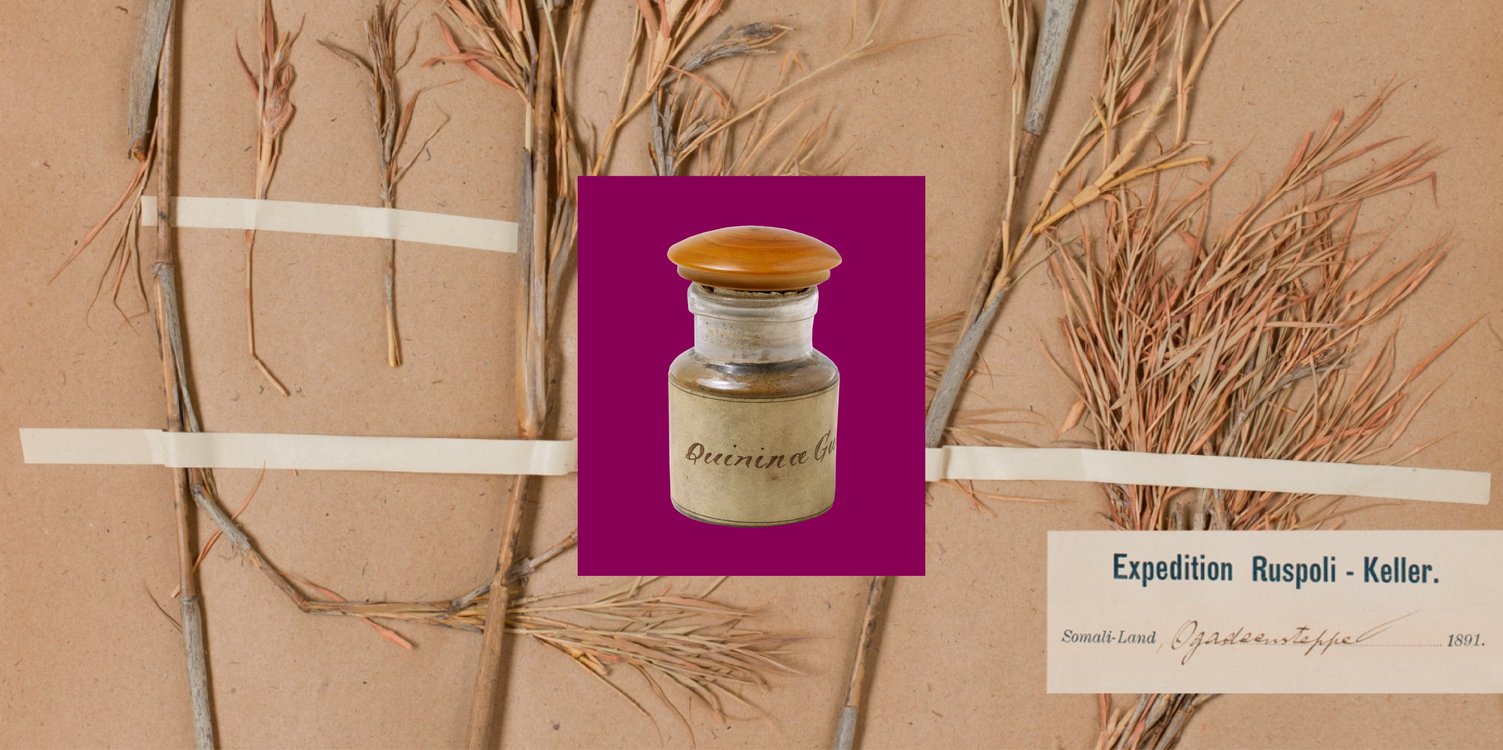Colonial Traces - Collections in Context