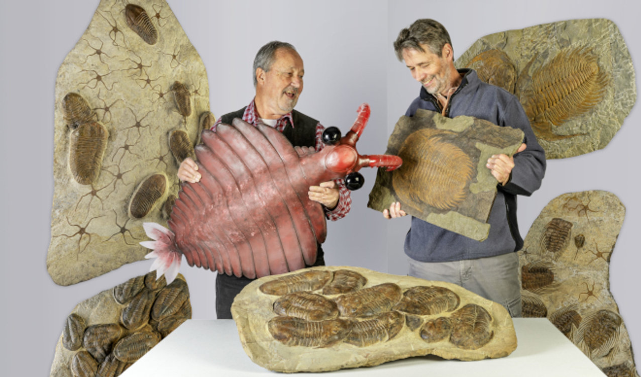 Trilobiten & Seeskorpione – Spezialausstellung Sauriermuseum Trilobiten & Seeskorpione – Spezialausstellung Sauriermuseum