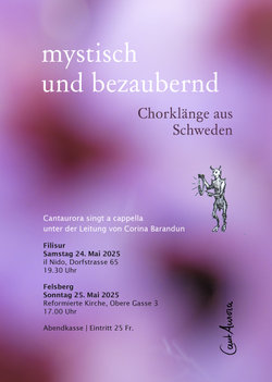 Mystisch und bezaubernd: Chorkonzert mit Klängen aus Schweden